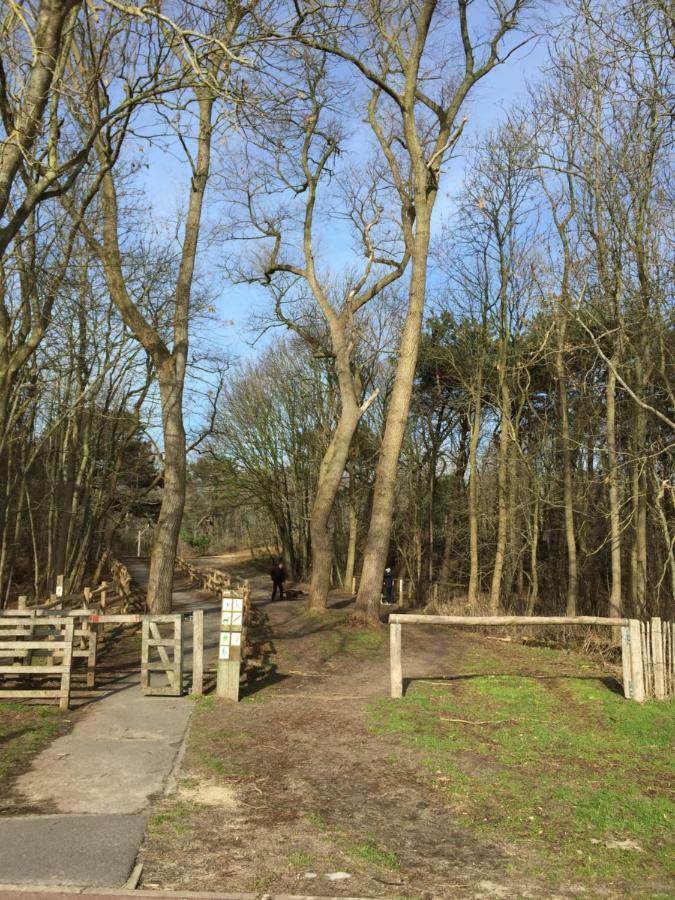Zee Vakantievilla Begijnhof 5 De Haan Nieuwmunster ภายนอก รูปภาพ