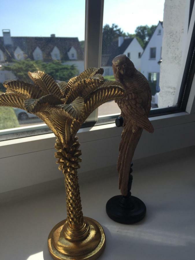 Zee Vakantievilla Begijnhof 5 De Haan Nieuwmunster ภายนอก รูปภาพ