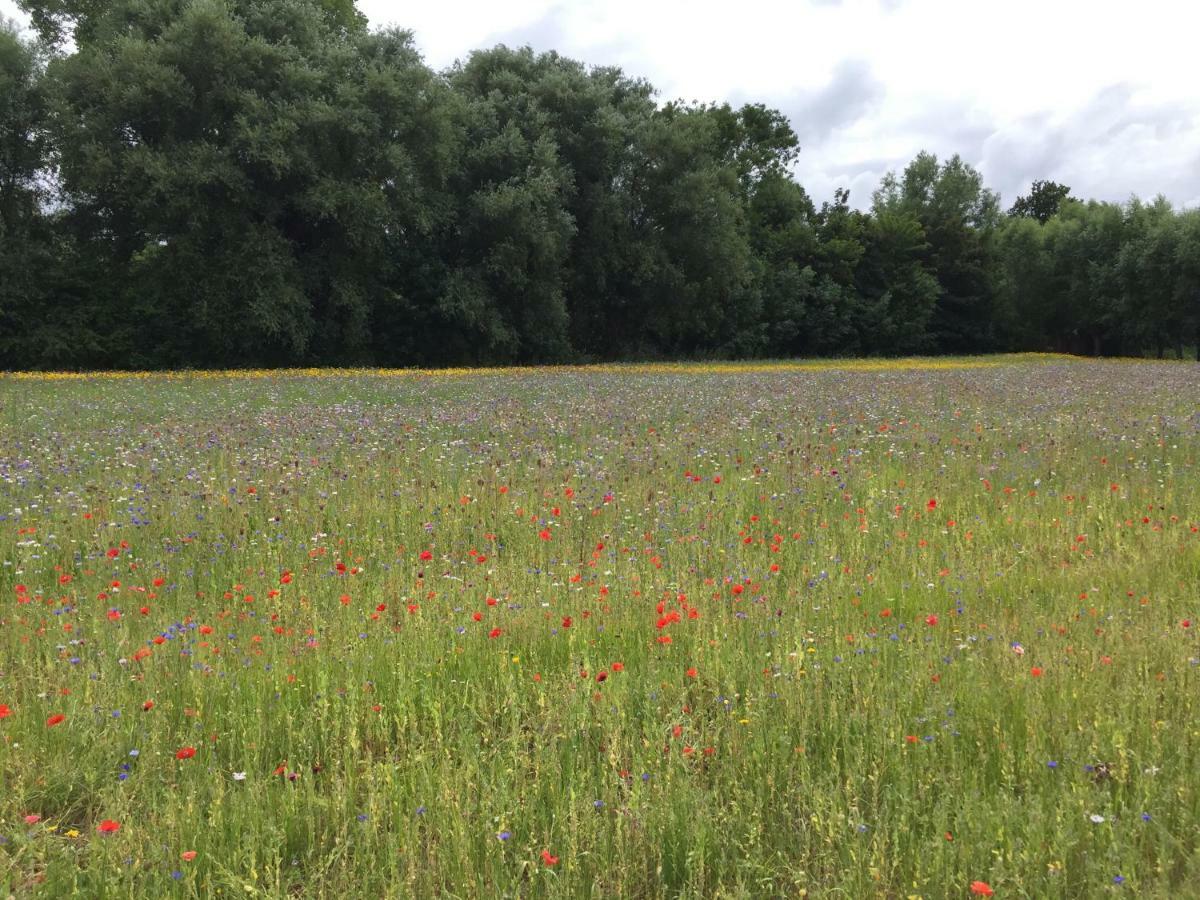Zee Vakantievilla Begijnhof 5 De Haan Nieuwmunster ภายนอก รูปภาพ